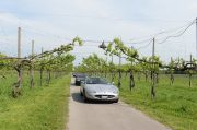 Le Jaguar nella zona del Prosecco e Cartize (135/152)